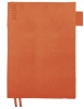  5 Leo Planner Binario 