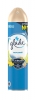   Glade  