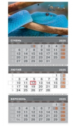  2025  3  ""