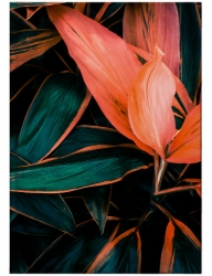    192  Flora