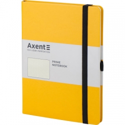   Axent Partner Prime, 